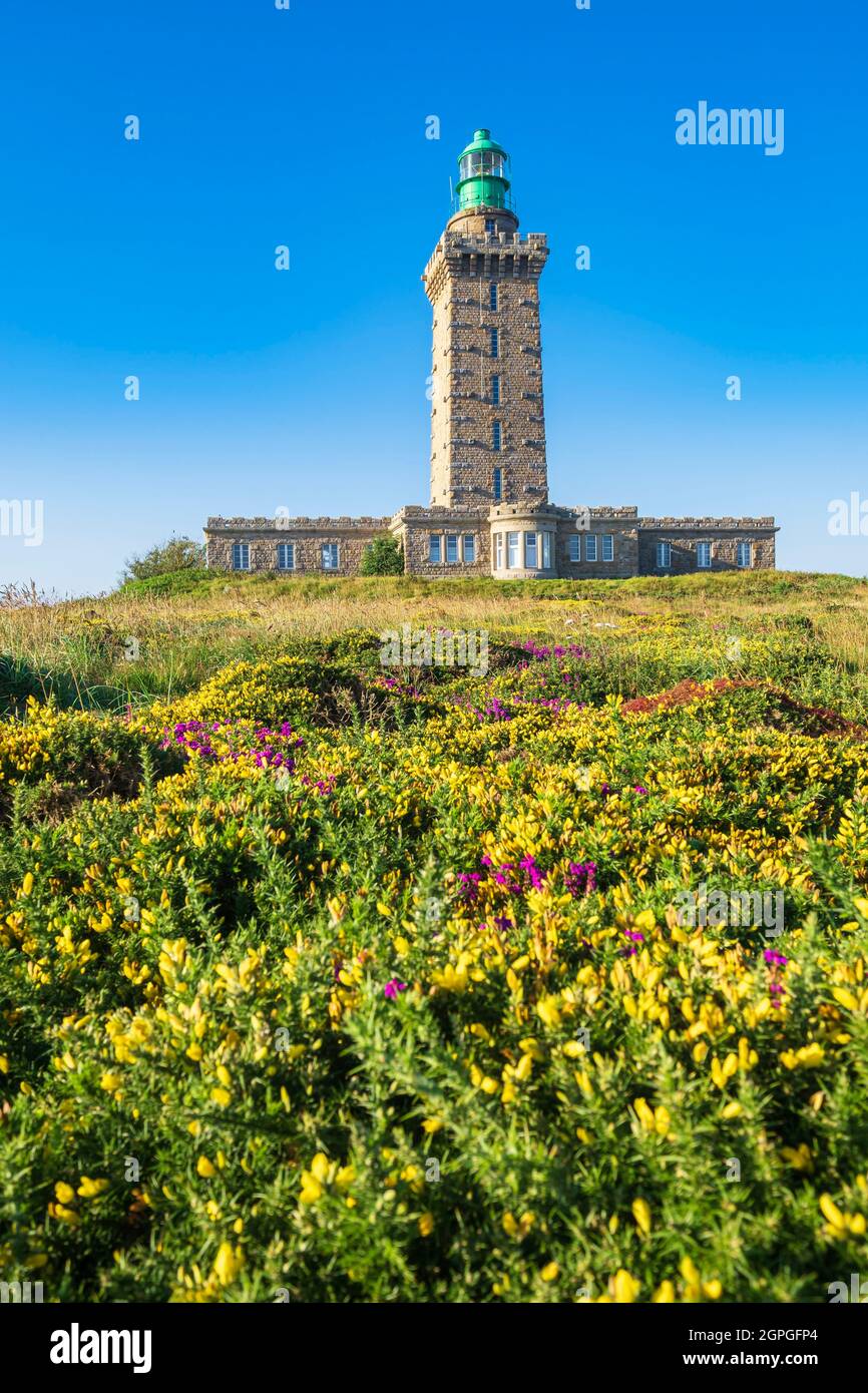 Frankreich, Cotes d'Armor, Plegenon, Grand Site de France Cap d'Erquy - Cap Frehel, Leuchtturm Cap Frehel (1950) entlang des Wanderweges GR 34 oder Zollweges Stockfoto