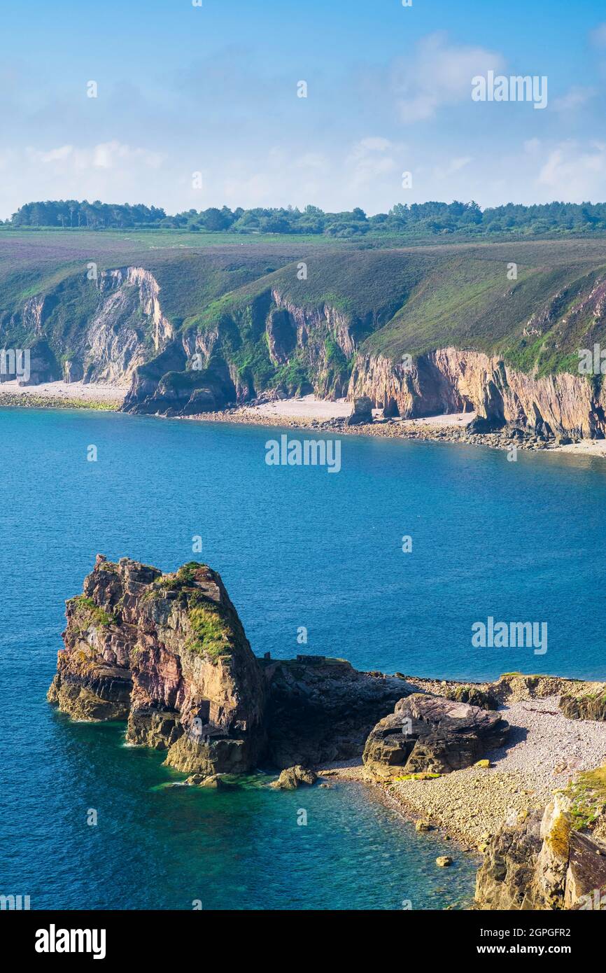 Frankreich, Cotes d'Armor, Plevenon, Grand Site de France Cap d'Erquy - Cap Frehel, Anse des Sévignés entlang des Wanderwegs GR 34 oder Zollweges Stockfoto