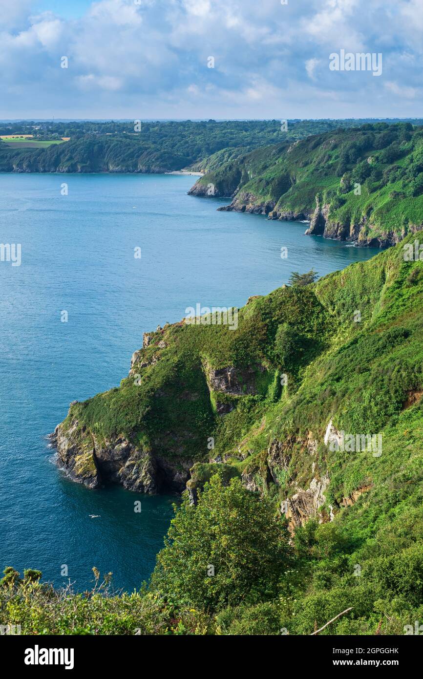 Frankreich, Cotes d'Armor, Plouha, der Wanderweg GR 34 oder Zollweg folgt den Plouha-Klippen, dem höchsten der Bretagne Stockfoto