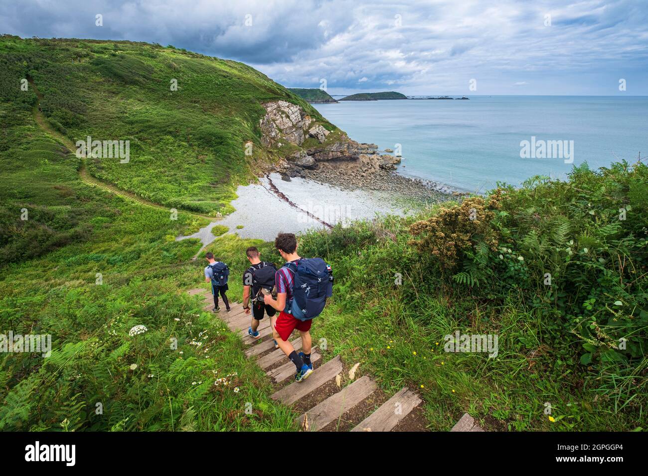 Frankreich, Cotes d'Armor, Plouezec, Porz Donan, wandern Sie entlang des Wanderweges GR 34 oder Zollweges Stockfoto