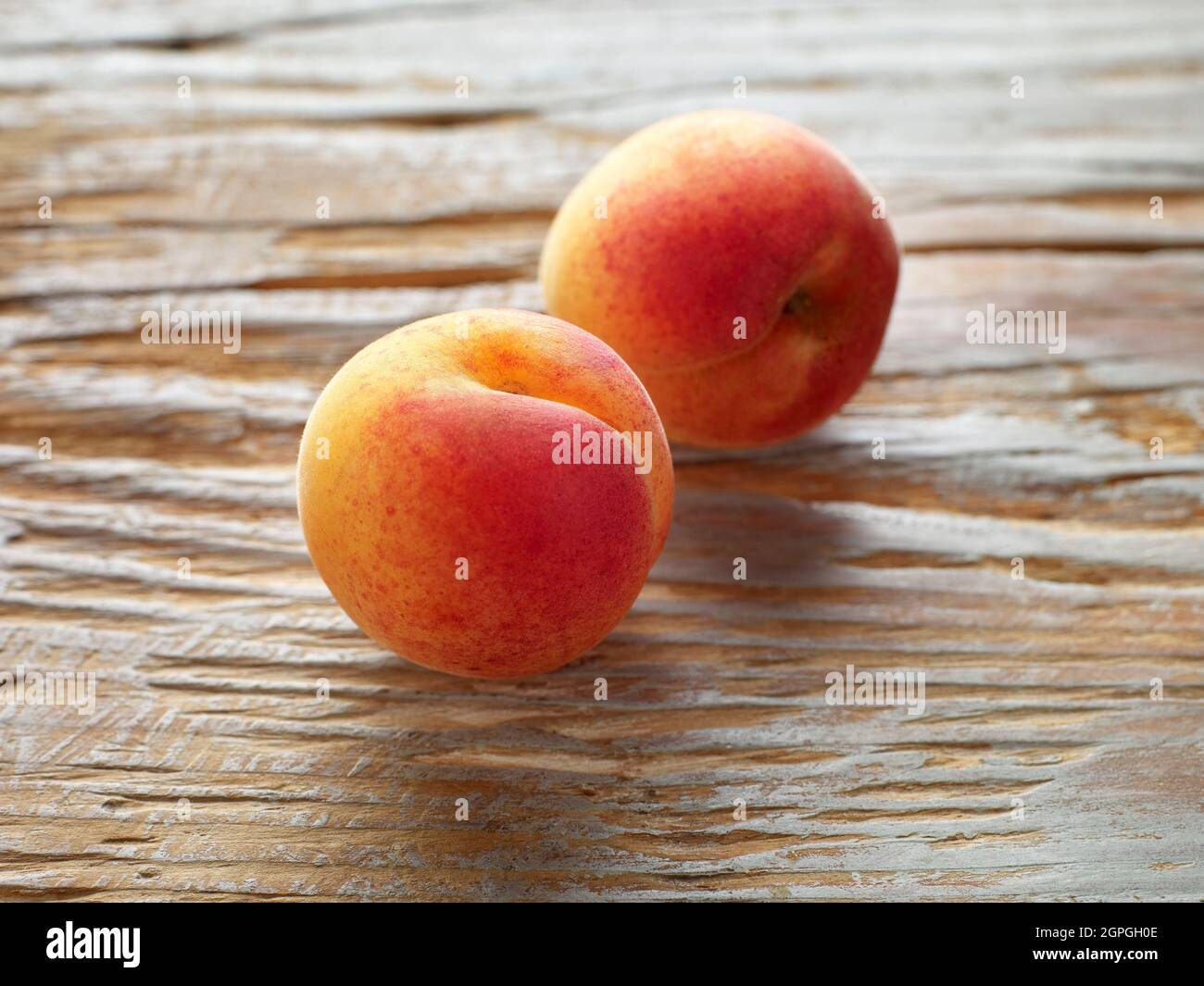 Frankreich, Pyrenäen Orientales, Aprikosen Roussillon Stockfoto