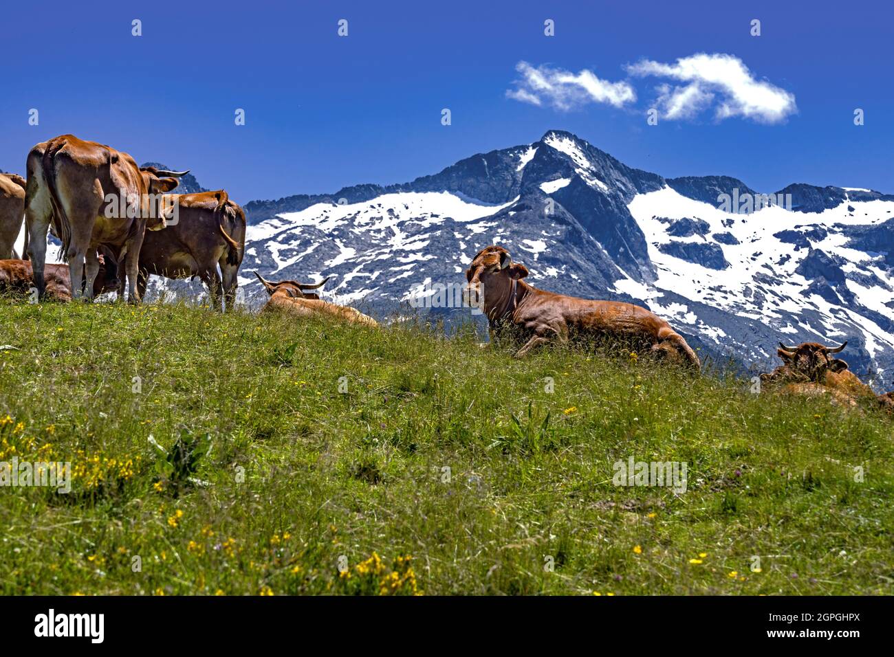 Frankreich, Ozitanien, Pyrenäen, Departement Haute Garonne, Luchon Superbagneres Stockfoto