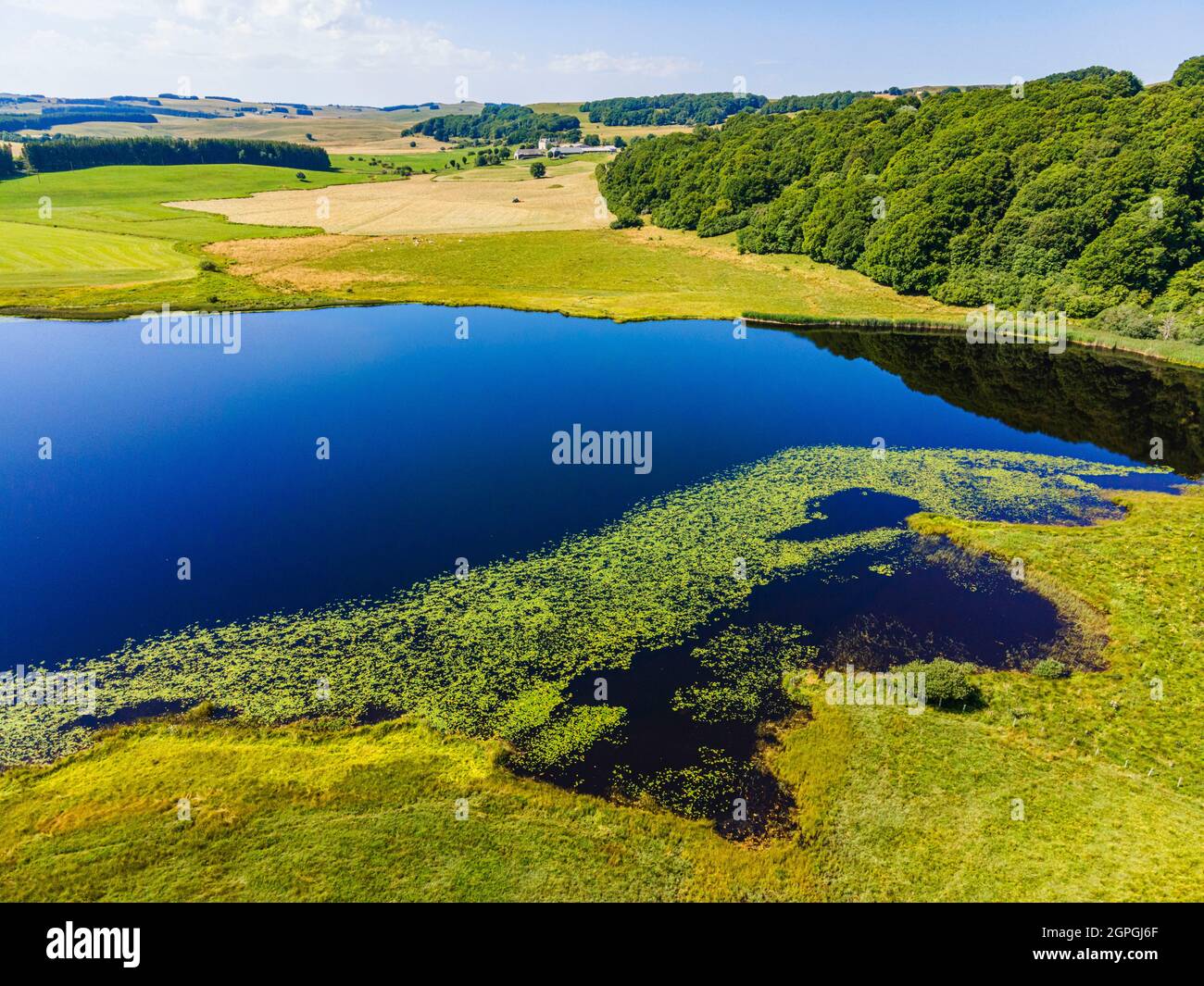 Frankreich, Lozere, See von Salhiens, regionaler Naturpark Aubrac (Parc naturel régional de l'Aubrac), Luftaufnahme (Luftaufnahme) Stockfoto