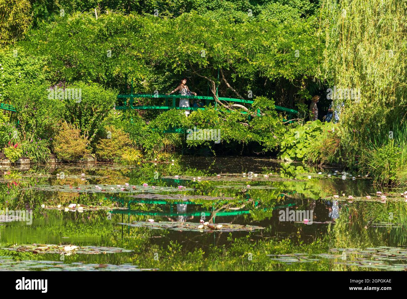 Frankreich, Eure, Giverny, Claude Monet Stiftung, der Wassergarten Stockfoto