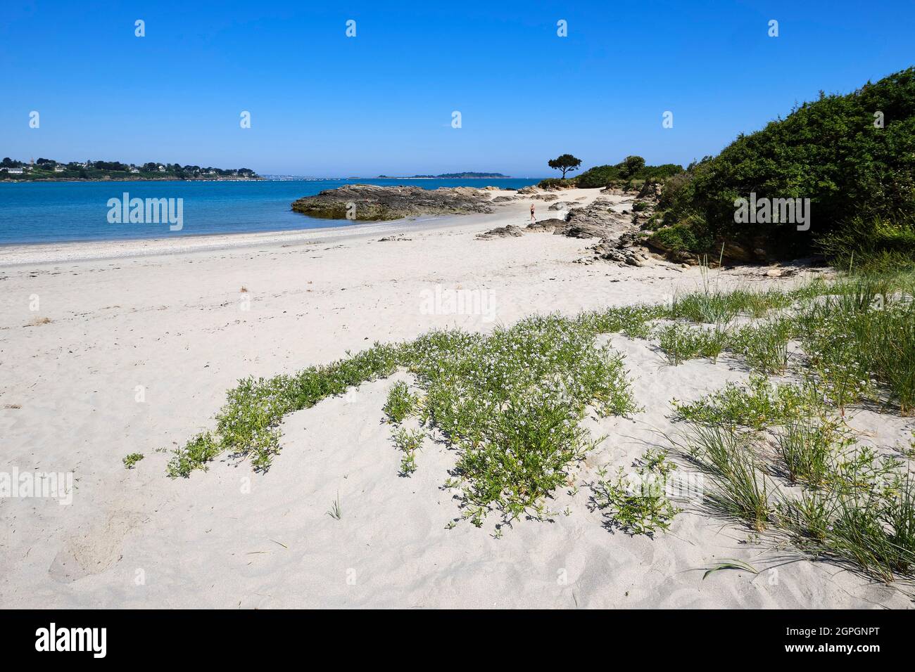 Frankreich, Ile et Vilaine, Cote d'Emeraude (Smaragdküste), Lancieux, Strand von Briantais Stockfoto