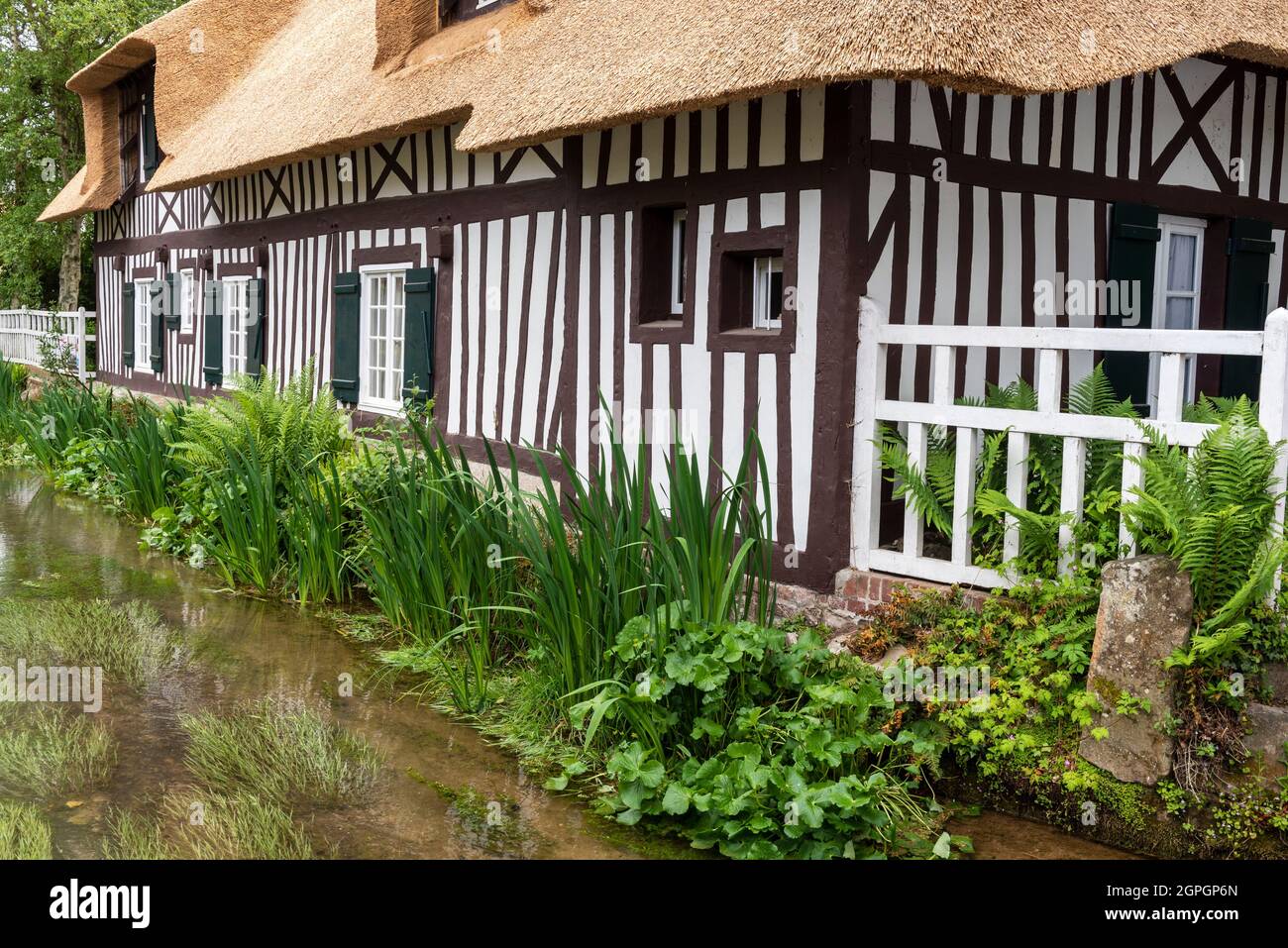 Frankreich, Seine Maritime, Pays de Caux, Cote d'Albatre (Alabaster Küste), Veules les Roses, die Schönsten Dörfer von Frankreich, der Ortschaft Veules les Roses wird durch die Veules, berühmten Fluss für die kurze Länge seines Kurses (1100 m), Cottage am Ufer des Veules Stockfoto