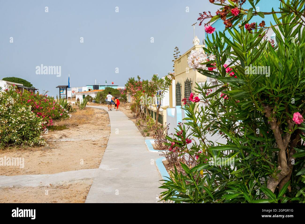 Portugal, Algarve, Faro, Insel oder ilha do Farol Stockfoto