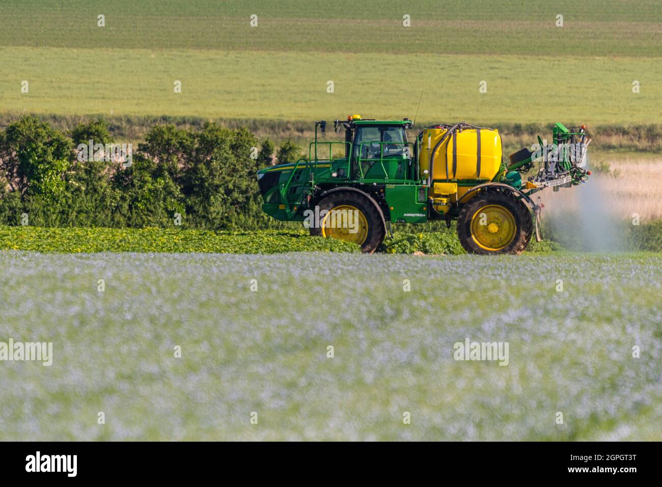 Frankreich, Somme (80), Somme Bay, Noyelles-sur-mer, Spritzen von Pestiziden auf ein Kartoffelfeld, Flachsfeld in Blüte im Vordergrund Stockfoto
