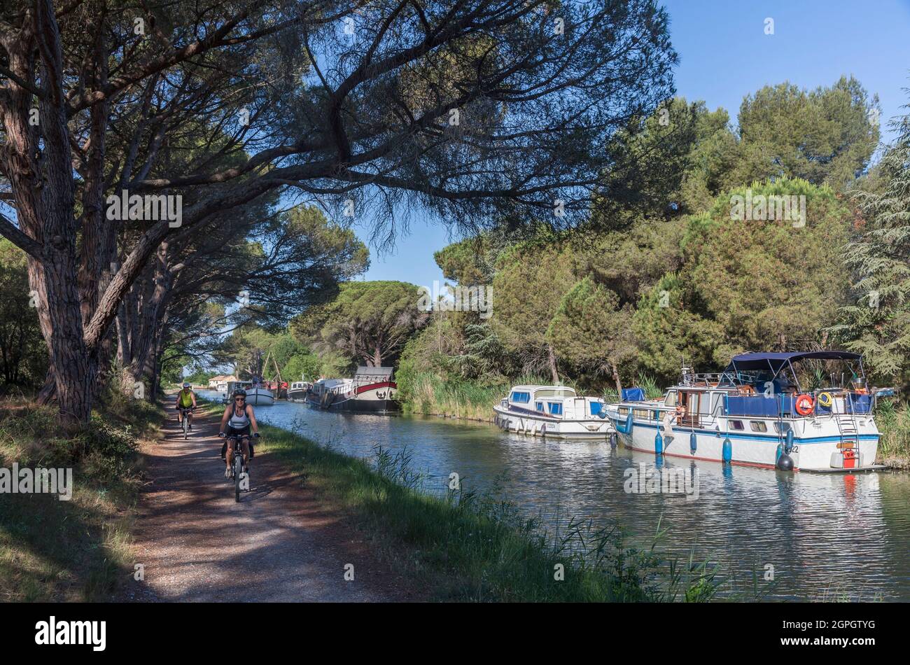 Frankreich, Aude, Salleles d'Aude, der Canal du Midi, der von der UNESCO zum Weltkulturerbe erklärt wurde, Radfahrer auf dem Schlepptau Stockfoto