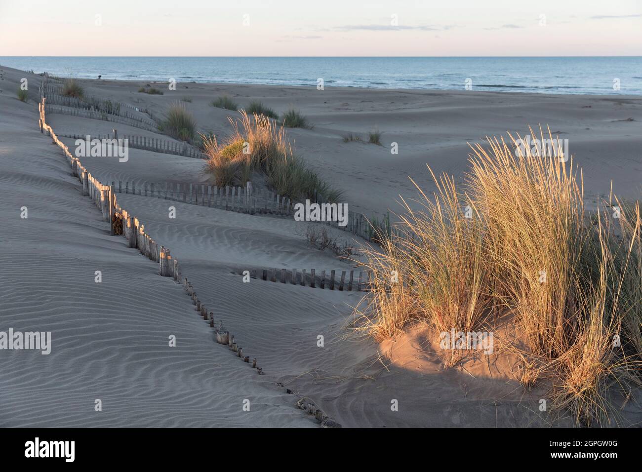 La France, Gard, Le Grau-du-ROI, der Strand Espiguette Stockfoto