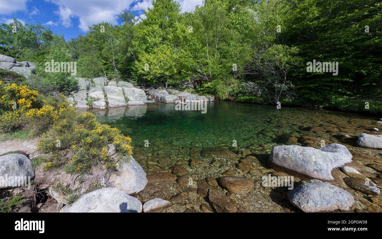 Pont de montvert Fotos und Bildmaterial in hoher Auflösung Alamy