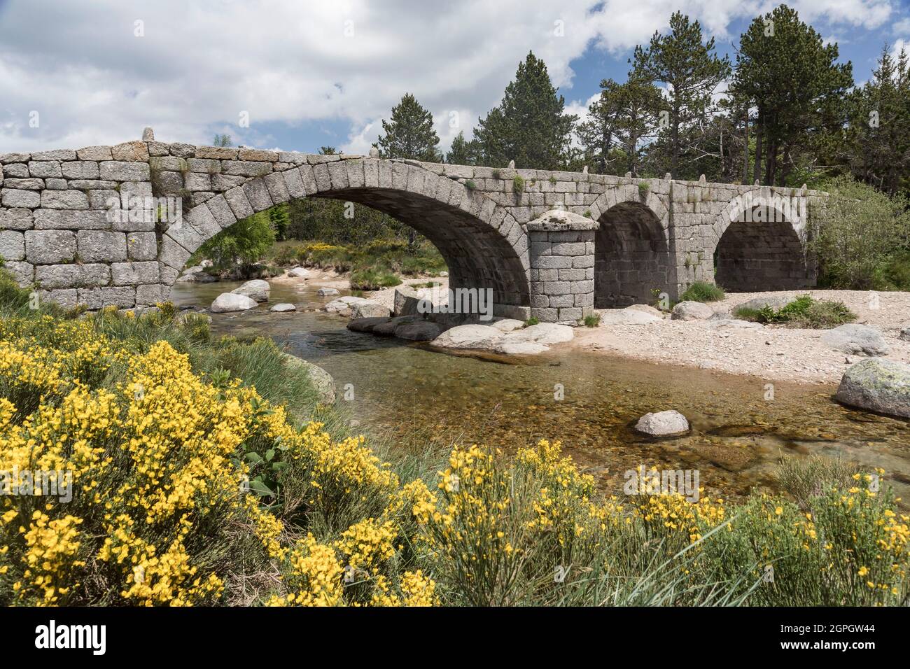 Frankreich, Lozere, Le Pont-de-Montvert, die Brücke über den Tarn, Mont Lozere, Nationalpark Cevennes Stockfoto