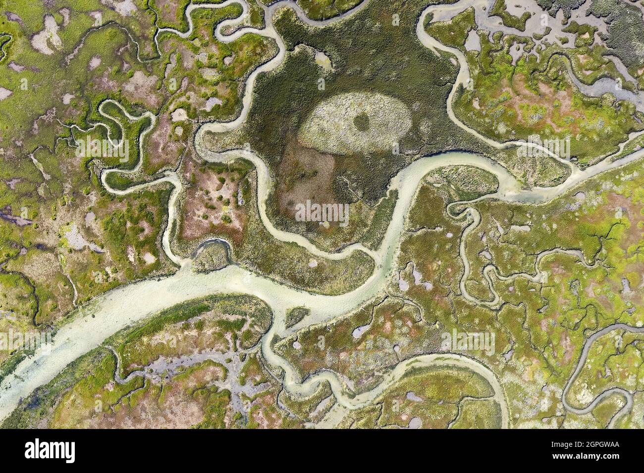 Frankreich, Finistere, Fouesnant, Sümpfe am Boden der Lagune des weißen Meeres (Luftaufnahme) Stockfoto