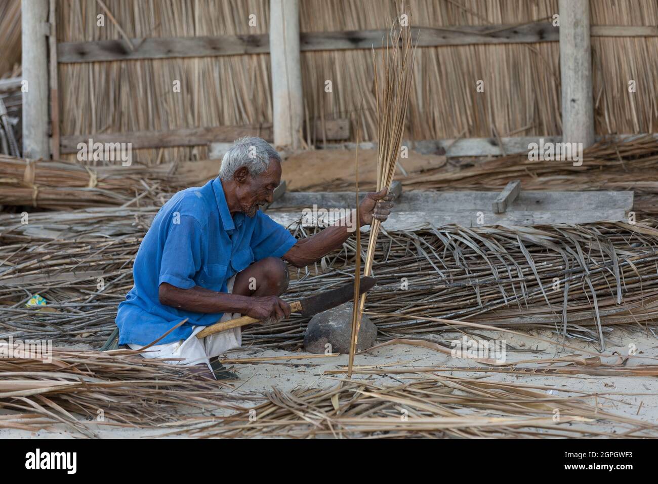 Madagaskar, Region Menabe, Morondava, Mann, der Palmenzweige vorbereitet Stockfoto