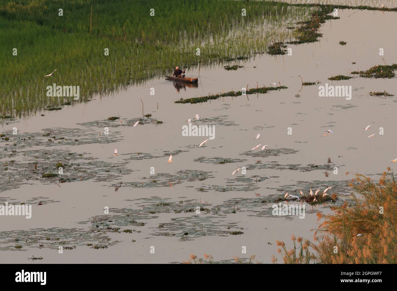 Madagaskar, Region Ménabé, Miandrivazo, der Fluss Tsiribihina in Richtung Miandrivazo Stockfoto