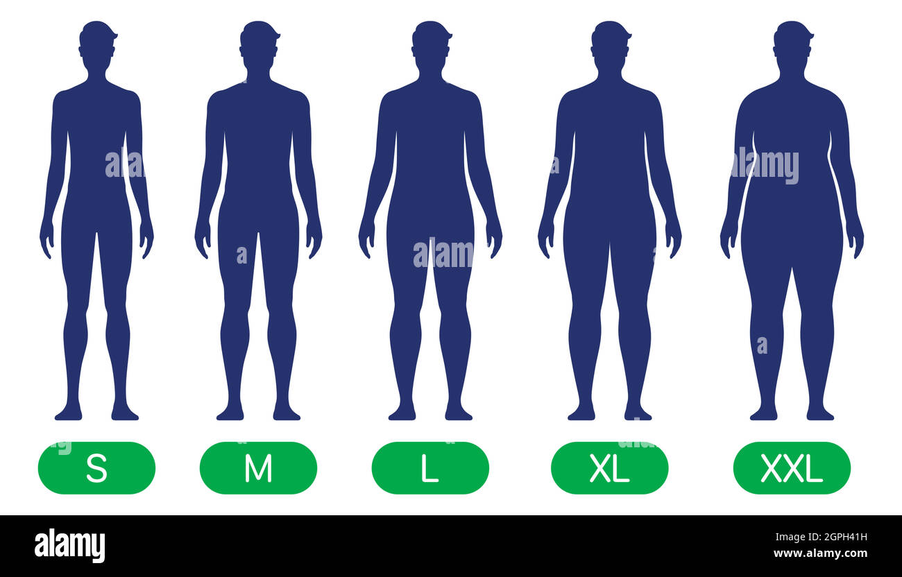 Eine Person mit verschiedenen Körpergrößen-Typen von schlank bis XXL. Vektordiagramm für Standardkörperformen. Stock Vektor