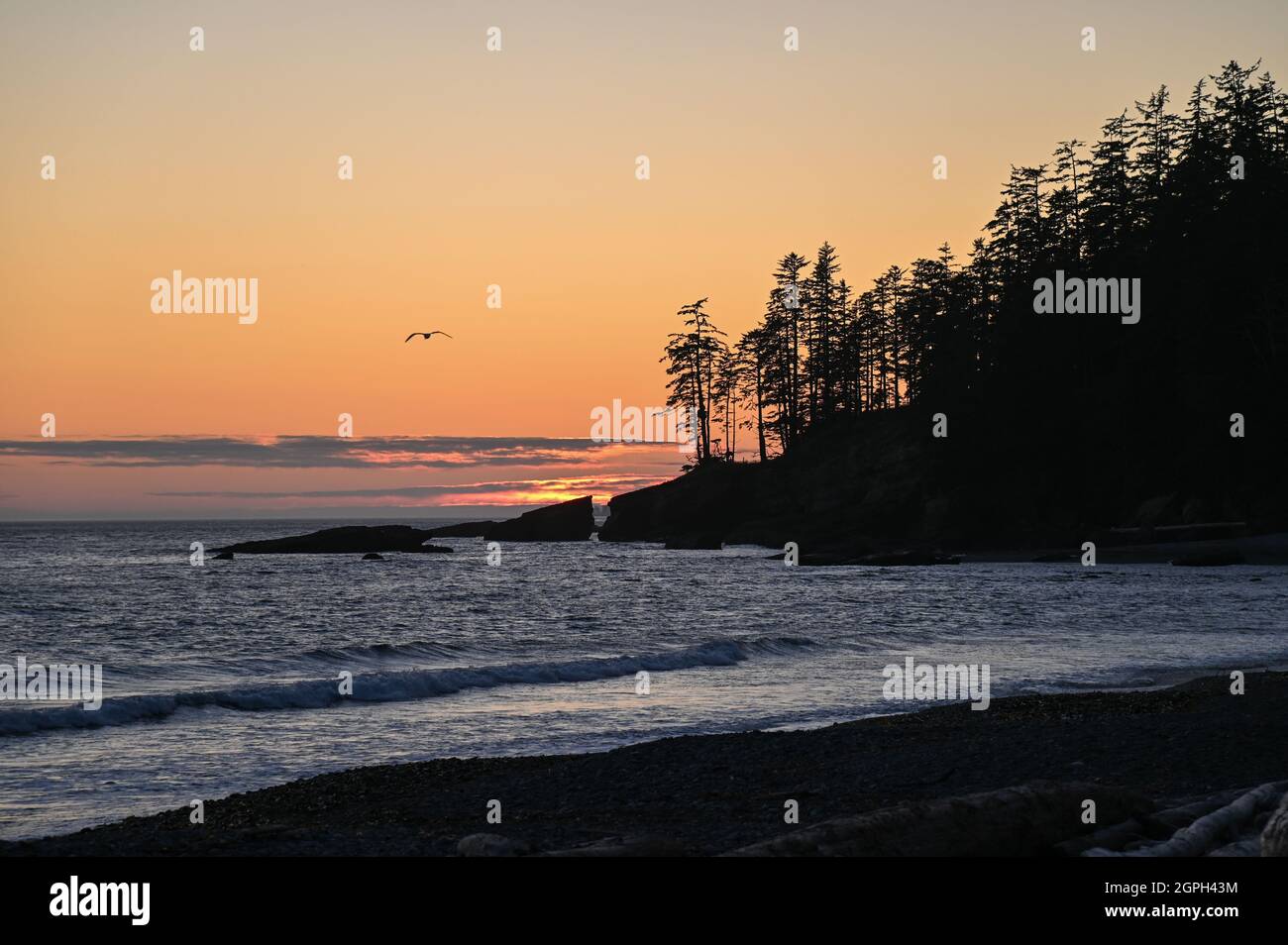Sonnenuntergang am Strand des West Coast Trail, Vancouver Island, Kanada. Stockfoto