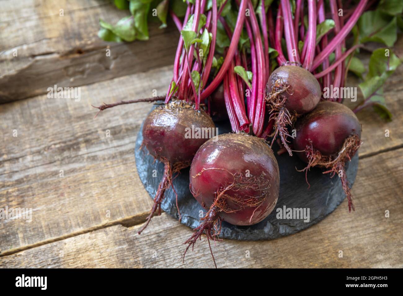 Frische Bio reife saftige Rote Bete auf einem Holzküchentisch. Das Konzept der Bio-Ernährung und Herbsternte Gemüse. Speicherplatz kopieren. Stockfoto