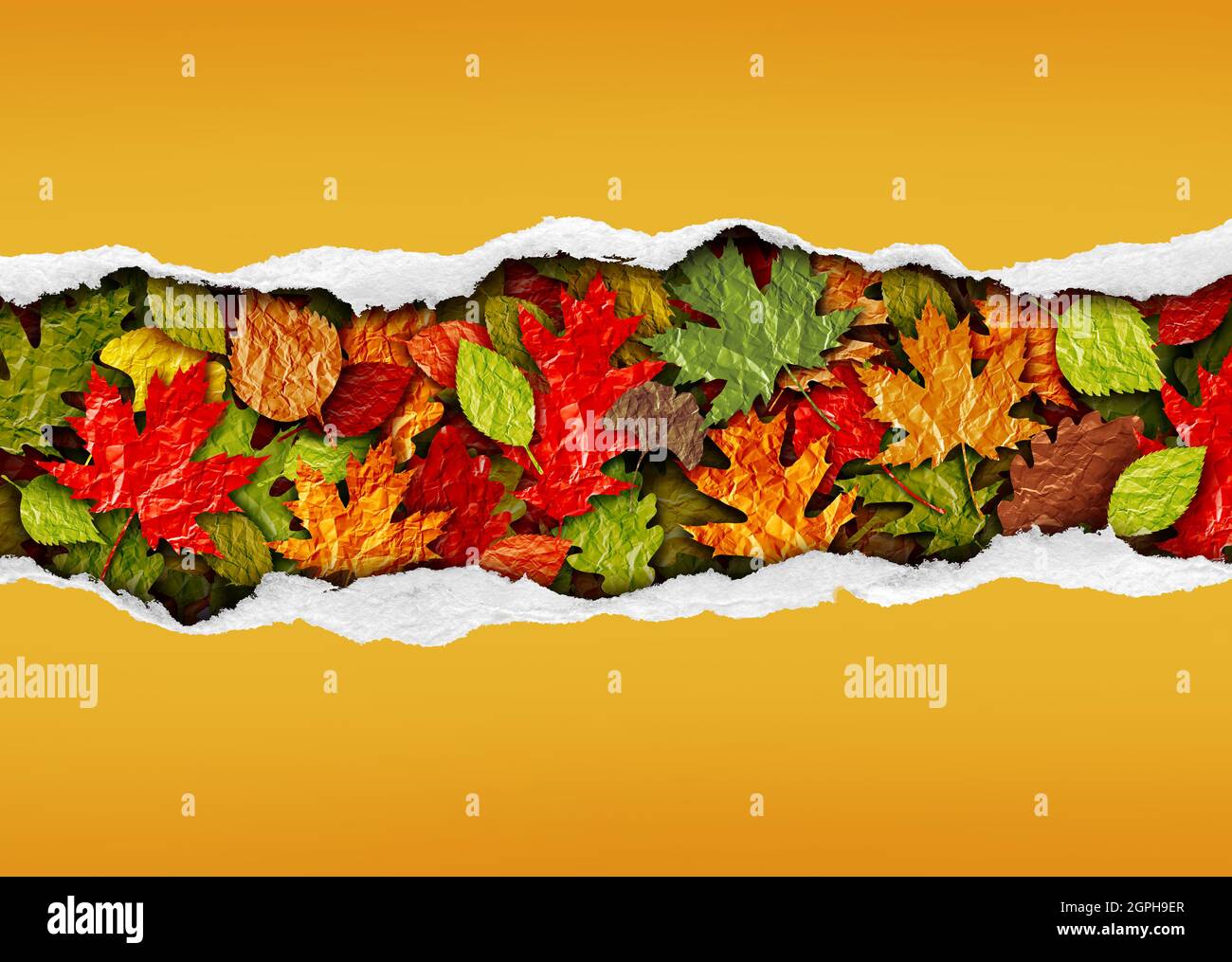 Herbstblatt-Hintergrund mit Textbereich-Kopierfläche als Verkaufsbanner mit Baumblättern während einer Herbstsaison als zerrissenes Papier für Werbemarketing. Stockfoto