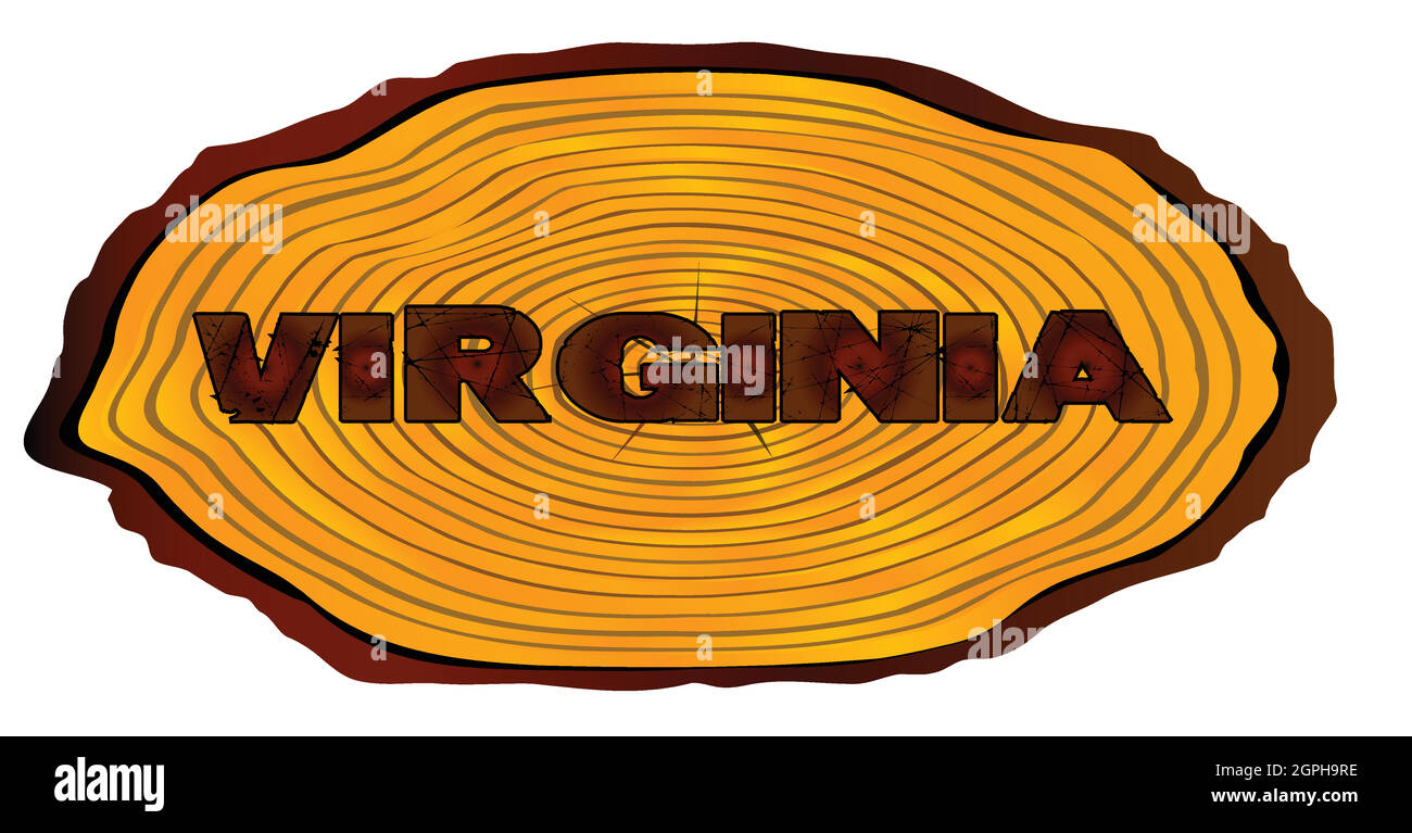 Virginia Log-Schild Stock Vektor