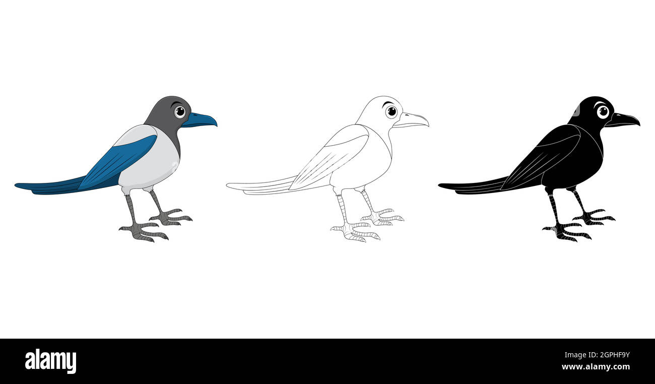 Elster Vogel Cartoon Illustration Set . Stehende Krähe Tierornithologie Design. Vektor-Clip-Art auf weißem Hintergrund isoliert. Kollektion enthält Silhouette, Umriss und Farbzeichnung. Stock Vektor