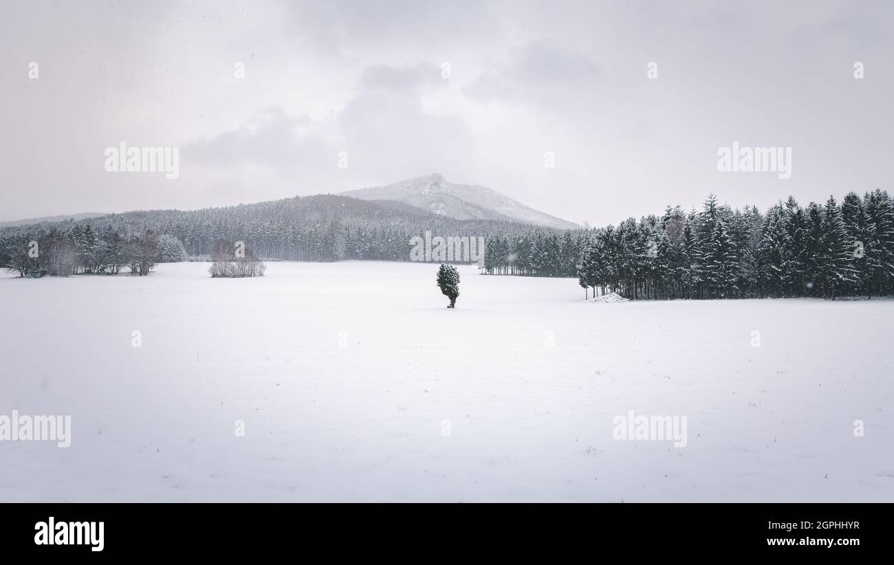 Winterlandschaft Waldviertel, Niederösterreich Stockfoto