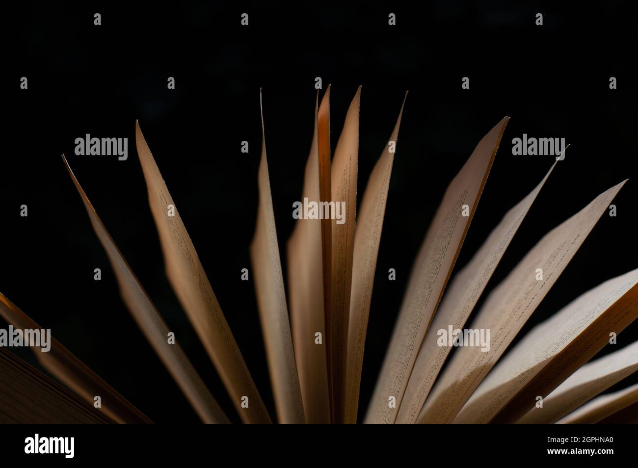 Ein offenes Buch vor einem verflixten Hintergrund in der warmen Nachmittagssonne Stockfoto