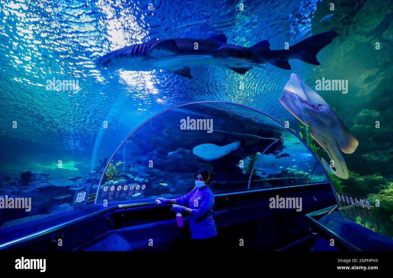 Kuala Lumpur, Malaysia. September 2021. Ein Arbeiter mit Gesichtsmaske sah vor der Wiedereröffnung in Kuala Lumpur eine Reinigung im Aquaria KLCC.Freizeitparks dürfen wegen der Einschränkungen der Coronavirus-Pandemie für Aktivitäten im Rahmen des Nationalen Wiederaufbauplans Malaysias für die Öffentlichkeit zugänglich gemacht werden. Kredit: SOPA Images Limited/Alamy Live Nachrichten Stockfoto