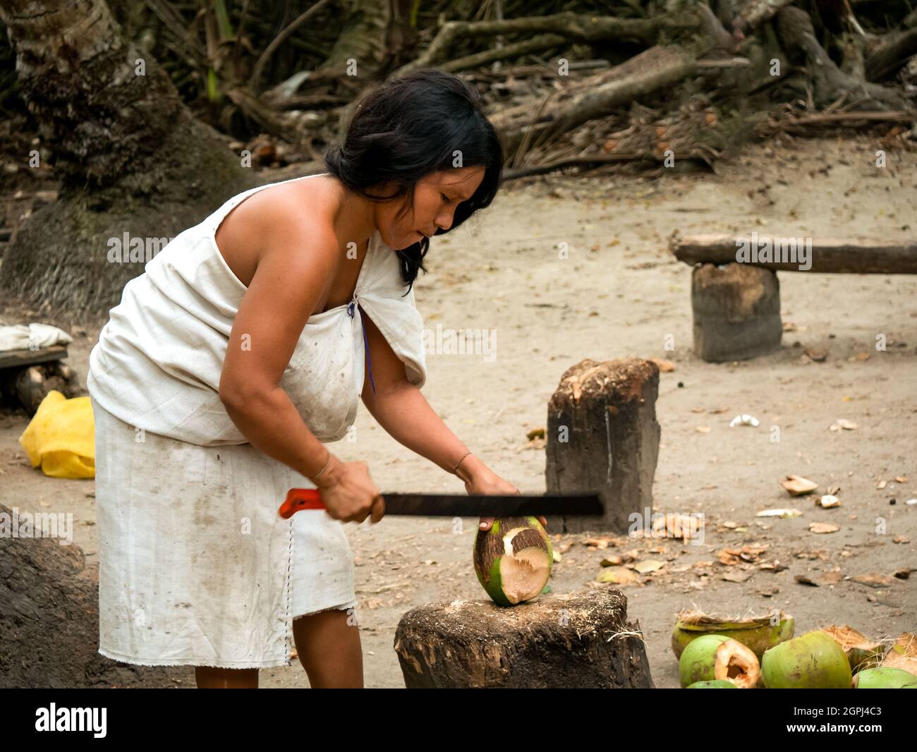 Santa Marta, Magdalena, Kolumbien - 22 2021. Mai: Indigene Frau der ethnischen Gruppe Nordkolumbias schneidet mehrere Kokosnüsse mit einem großen Machet Stockfoto