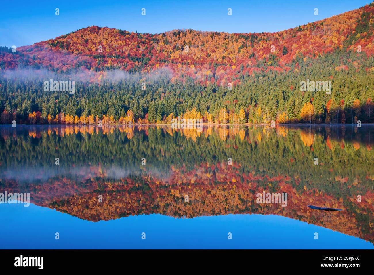 Herbst am Saint Anne Lake. Harghita County, Rumänien. Stockfoto