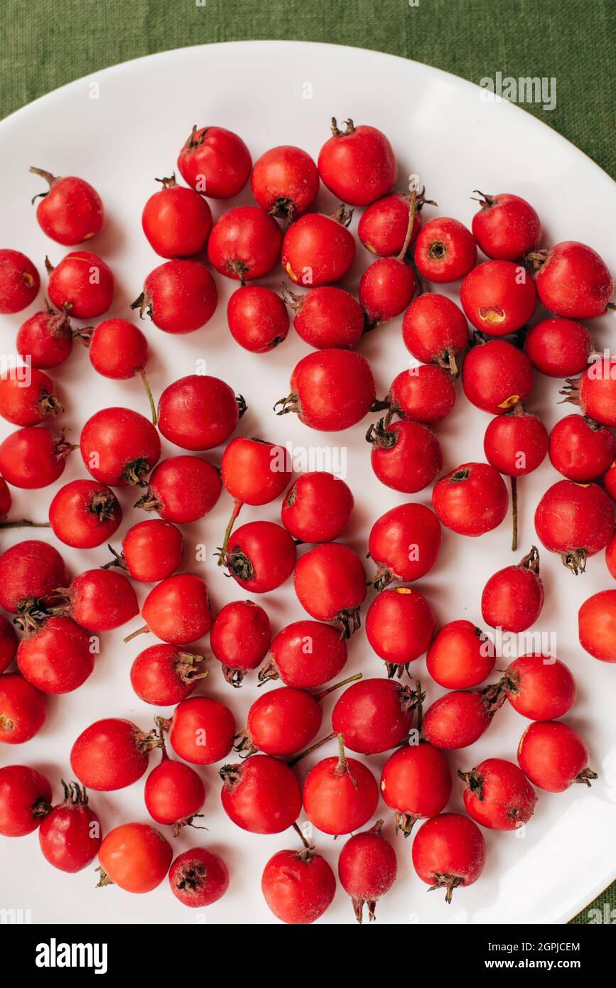 Rote Beeren von frischem Weißdorn in einem Teller, der auf einer grünen Tischdecke steht. Stockfoto