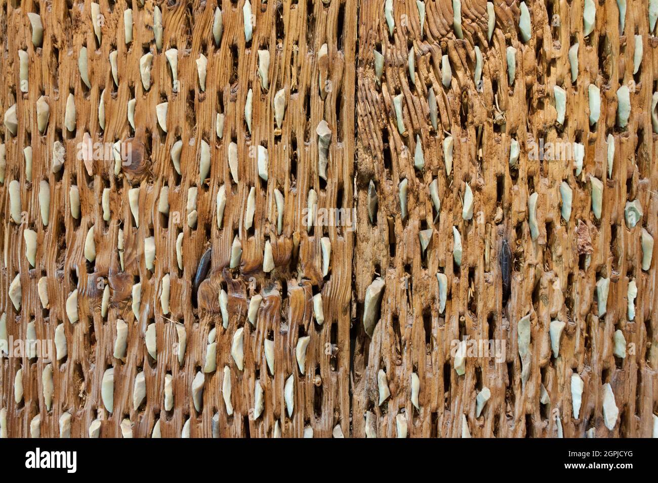Spanisches Dreschbrett. Detail von Steinschneidplatten. Selektiver Fokus Stockfoto
