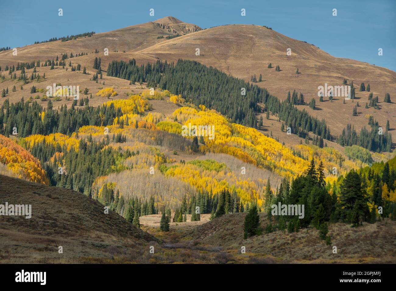 Autumn, Elk Mountains, Upper Cement Creek, Gunnison County, Colorado, September Stockfoto