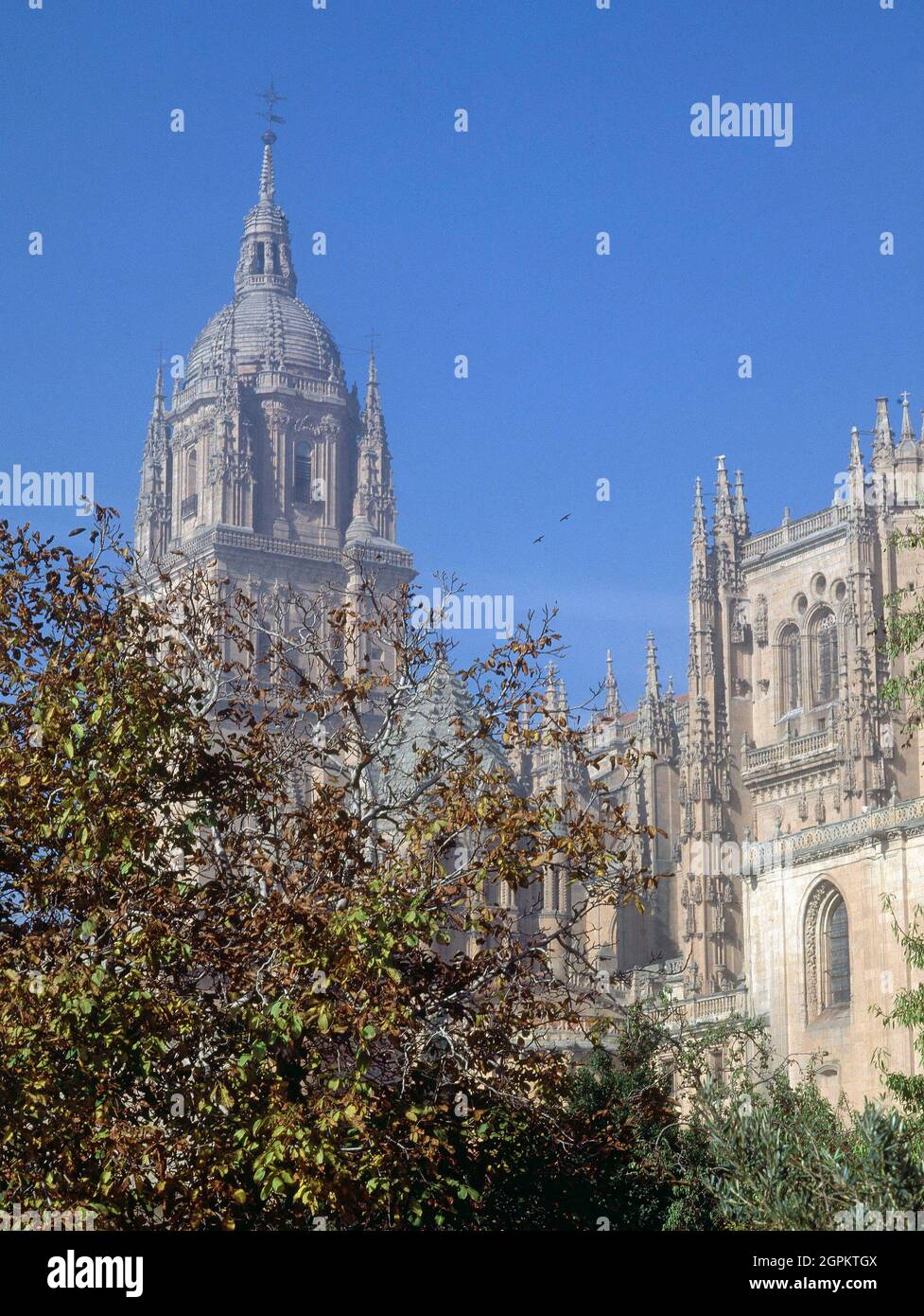 TORRE DE LA CATEDRAL NUEV Y CIMBORRIO DE LA TORRE DEL GALLO. Lage