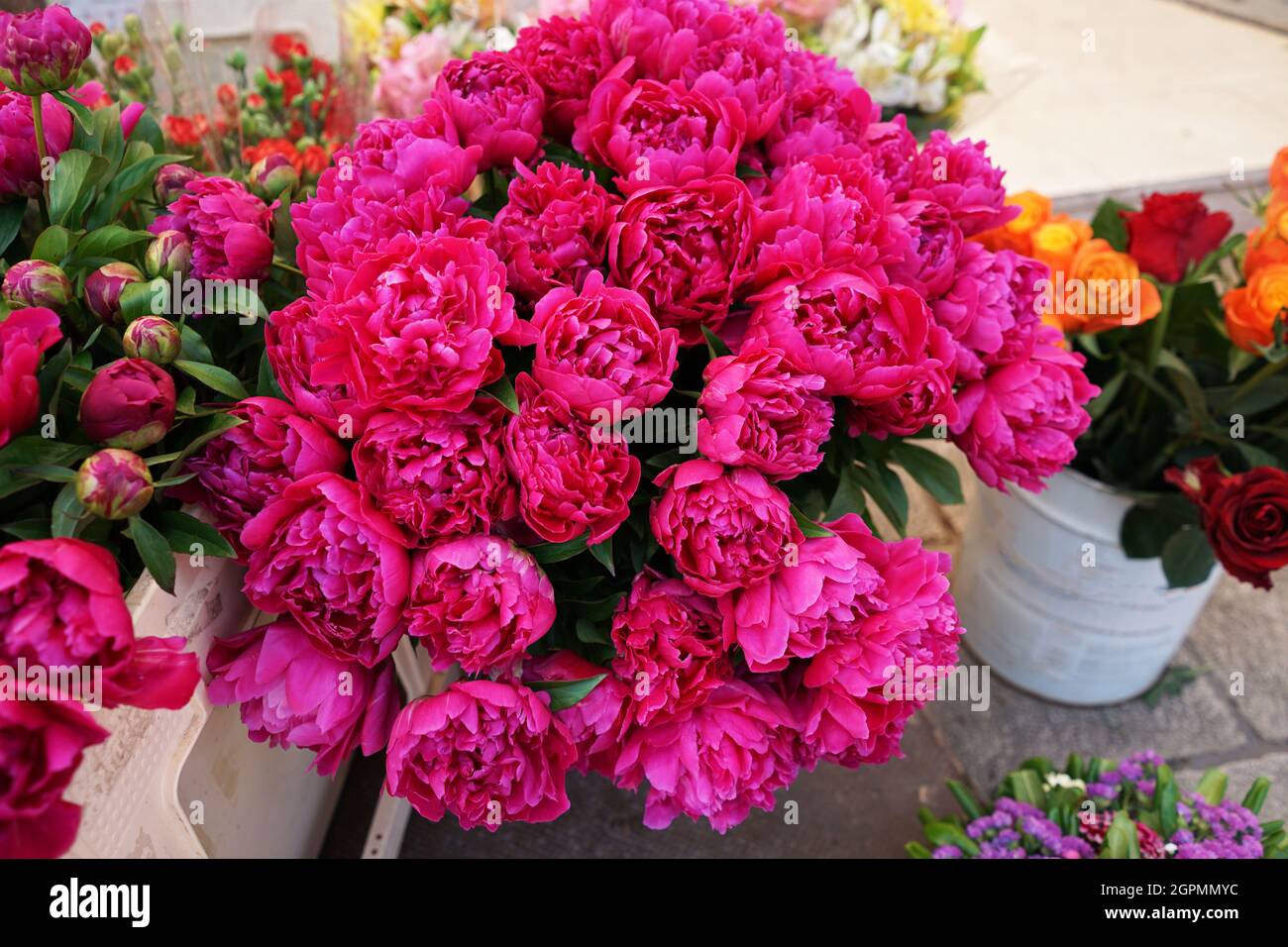 Nahaufnahme Rosa Kohlrose im Blumenglas Stockfoto