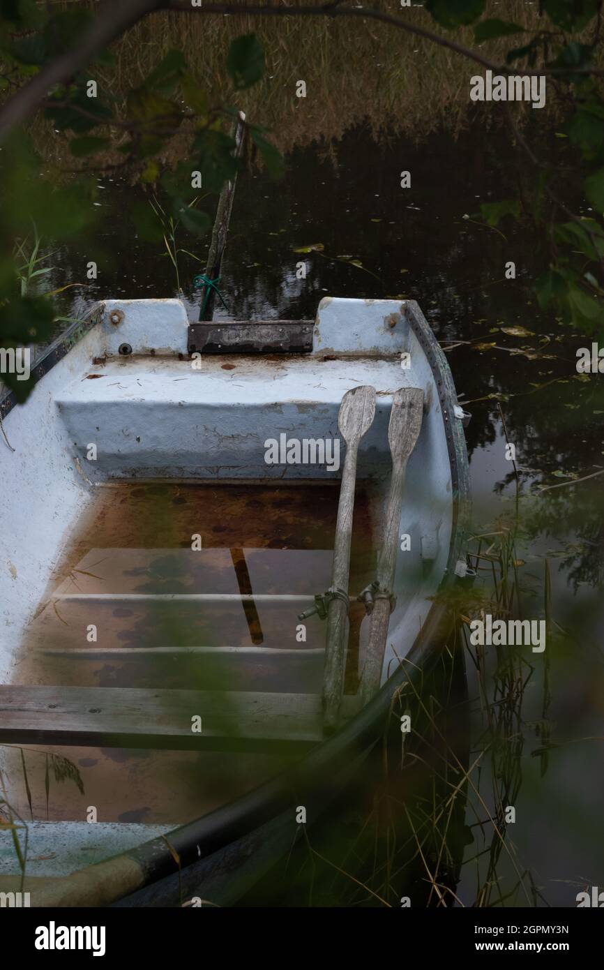 Fiberglas-Boot und Paddel, gefüllt mit Wasser an einem dunklen und regnerischen Herbsttag, Pflanzen und Seegras rund um das Boot Stockfoto