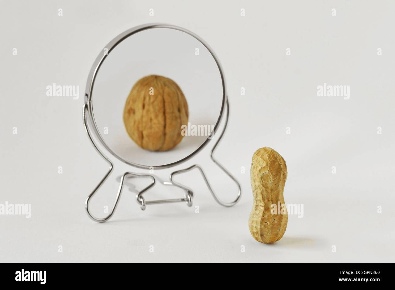 Erdnuss, die in den Spiegel schaut und sich als Walnuss versteht - Konzept von Dysmorphobie, Anorexie, verzerrtem Selbstbild Stockfoto