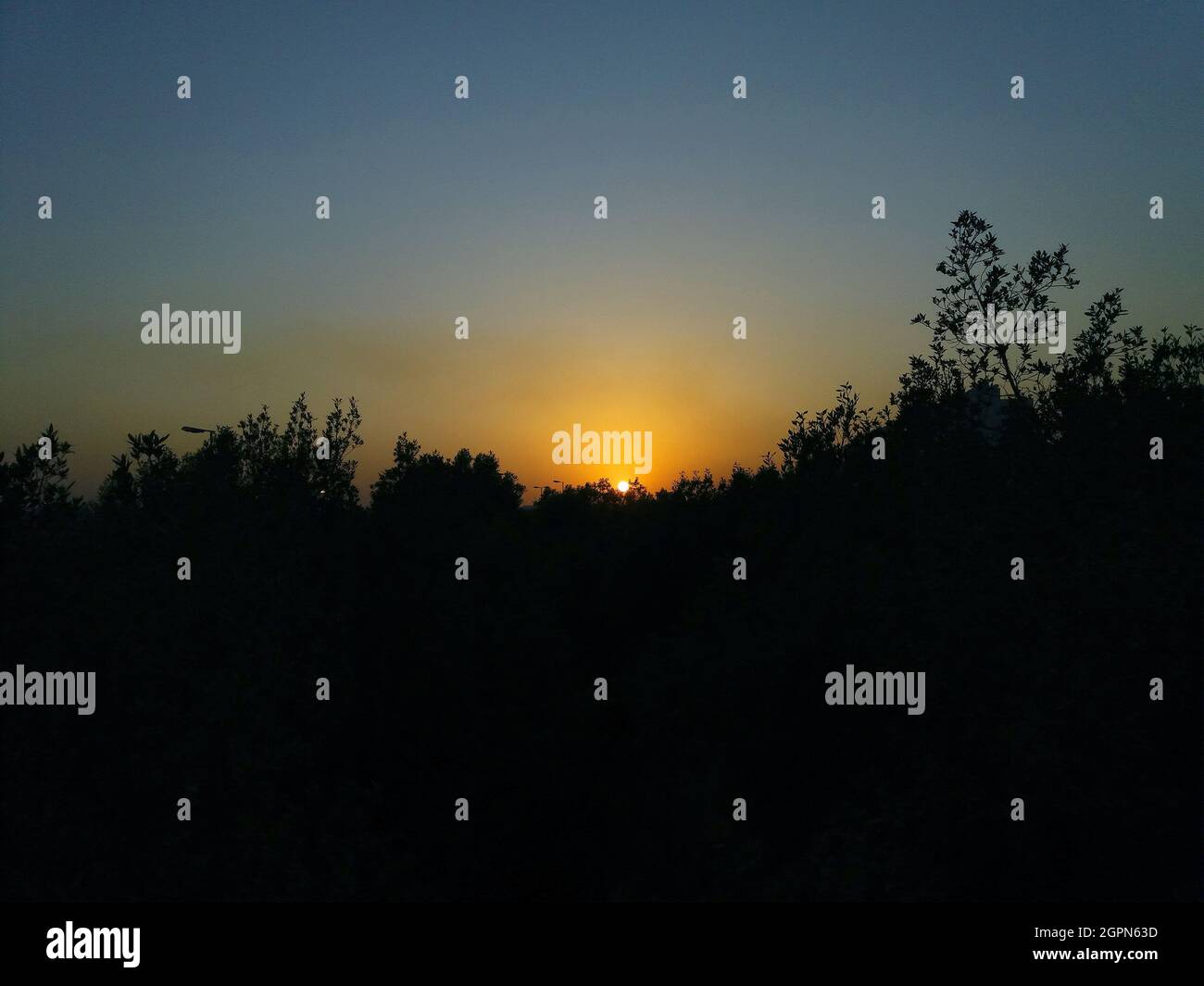 Wunderschöne Aussicht auf den Sonnenuntergang hinter den Bäumen. Stockfoto