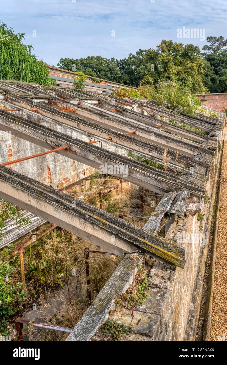 Verfallene viktorianische beheizte Gewächshäuser warten auf die Restaurierung im Walled Garden, Holkham Hall, Norfolk. Stockfoto