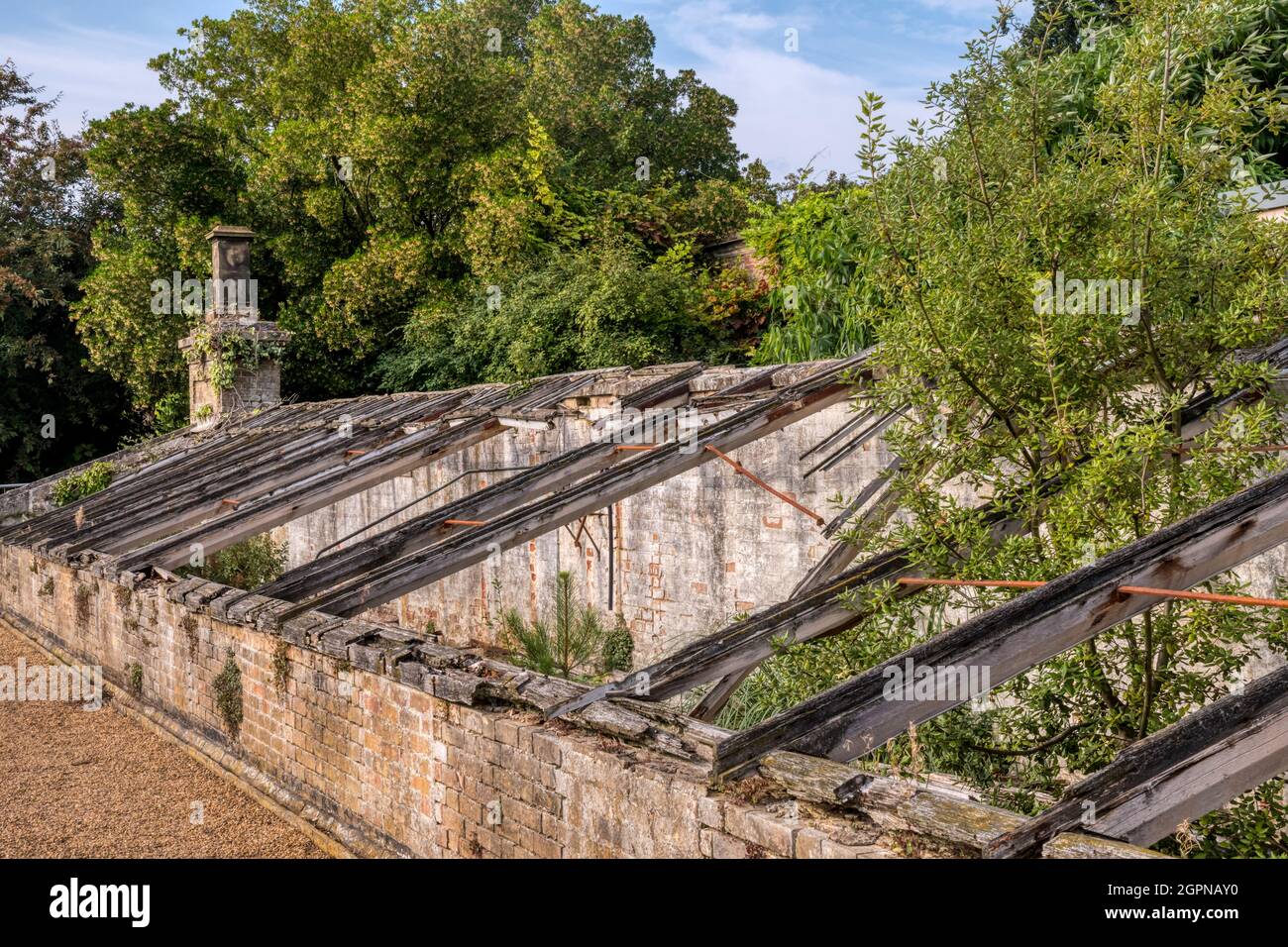 Verfallene viktorianische beheizte Gewächshäuser warten auf die Restaurierung im Walled Garden, Holkham Hall, Norfolk. Stockfoto