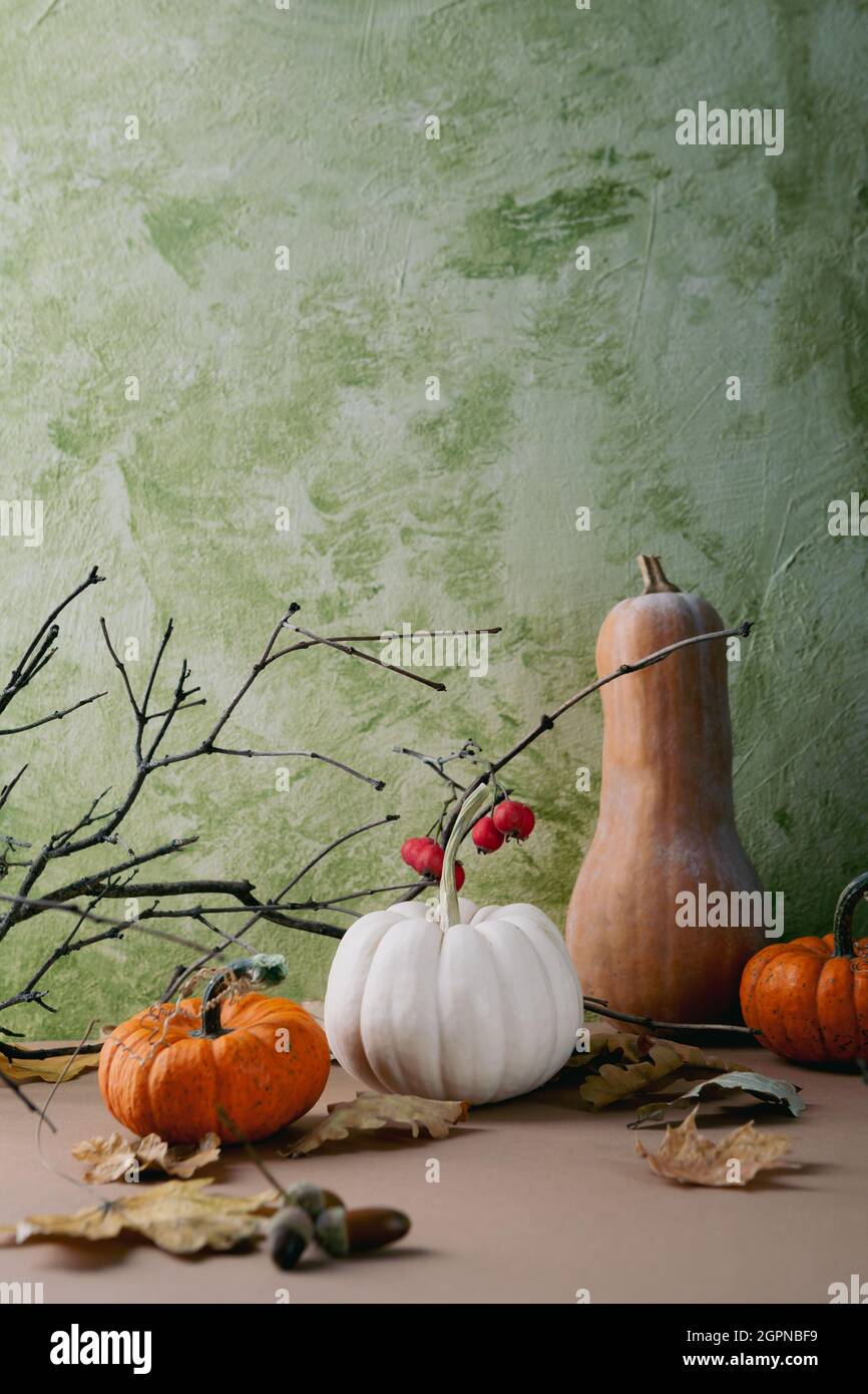 Weiß und orange Kürbis Herbst Halloween Konzept Hintergrund Stockfoto