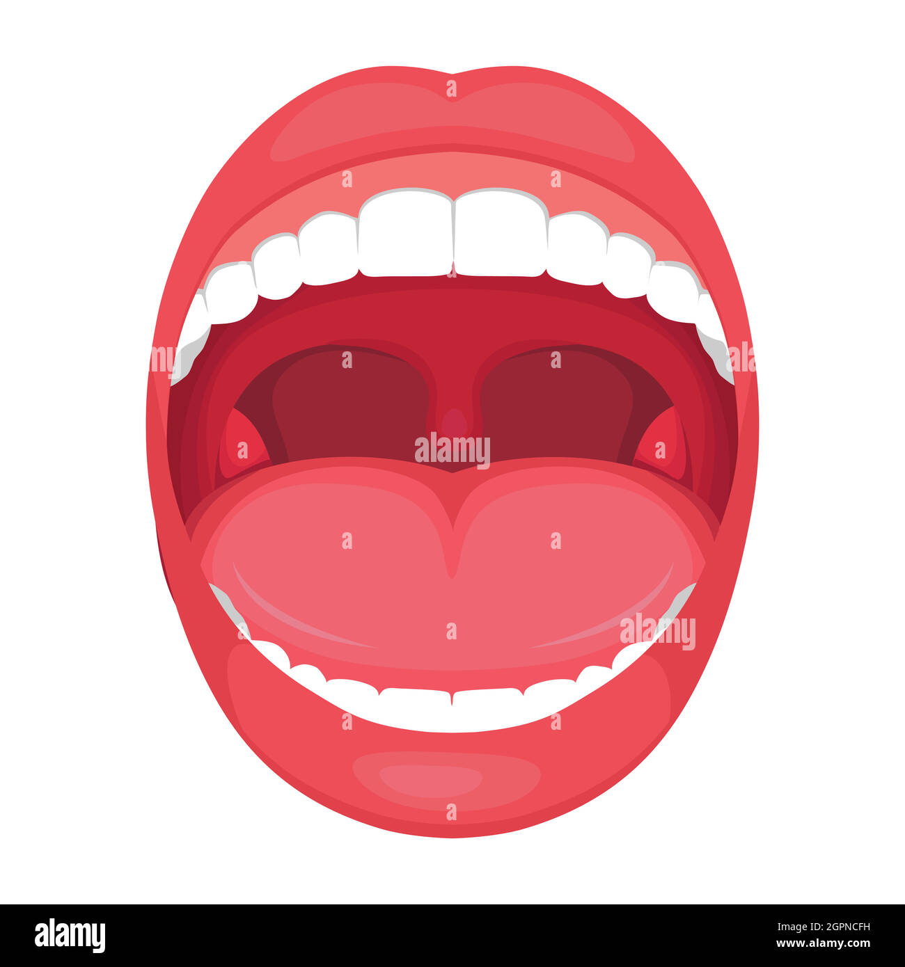 Anatomie menschlicher offener Mund. Medizinische Illustration Stock Vektor