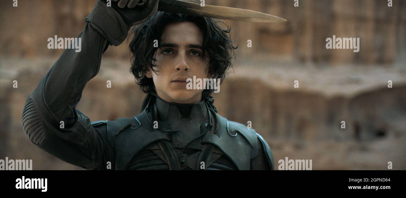no timothee chalamet no dune denis villeneuve Image 1