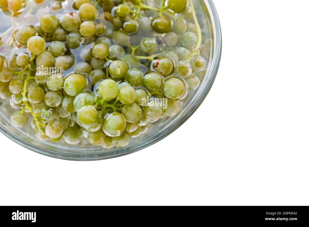 Feuchten Sie die Trauben in einer transparenten Schüssel an. Grün-gelbe Beere auf Weiß. Stockfoto