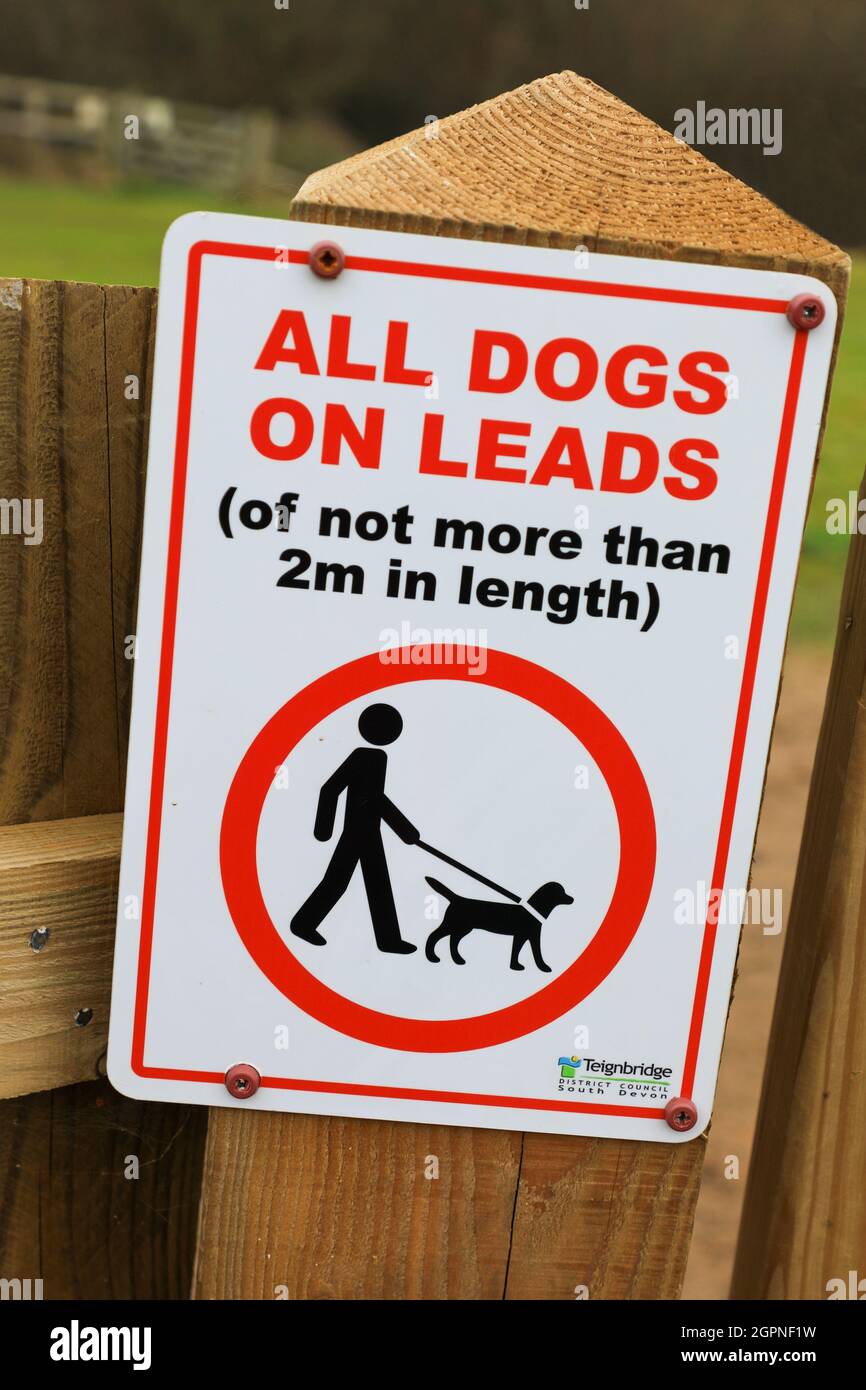 Ein Schild mit der Aufschrift „Alle Hunde mit einer Länge von nicht mehr als 2 Metern“, England, Großbritannien Stockfoto