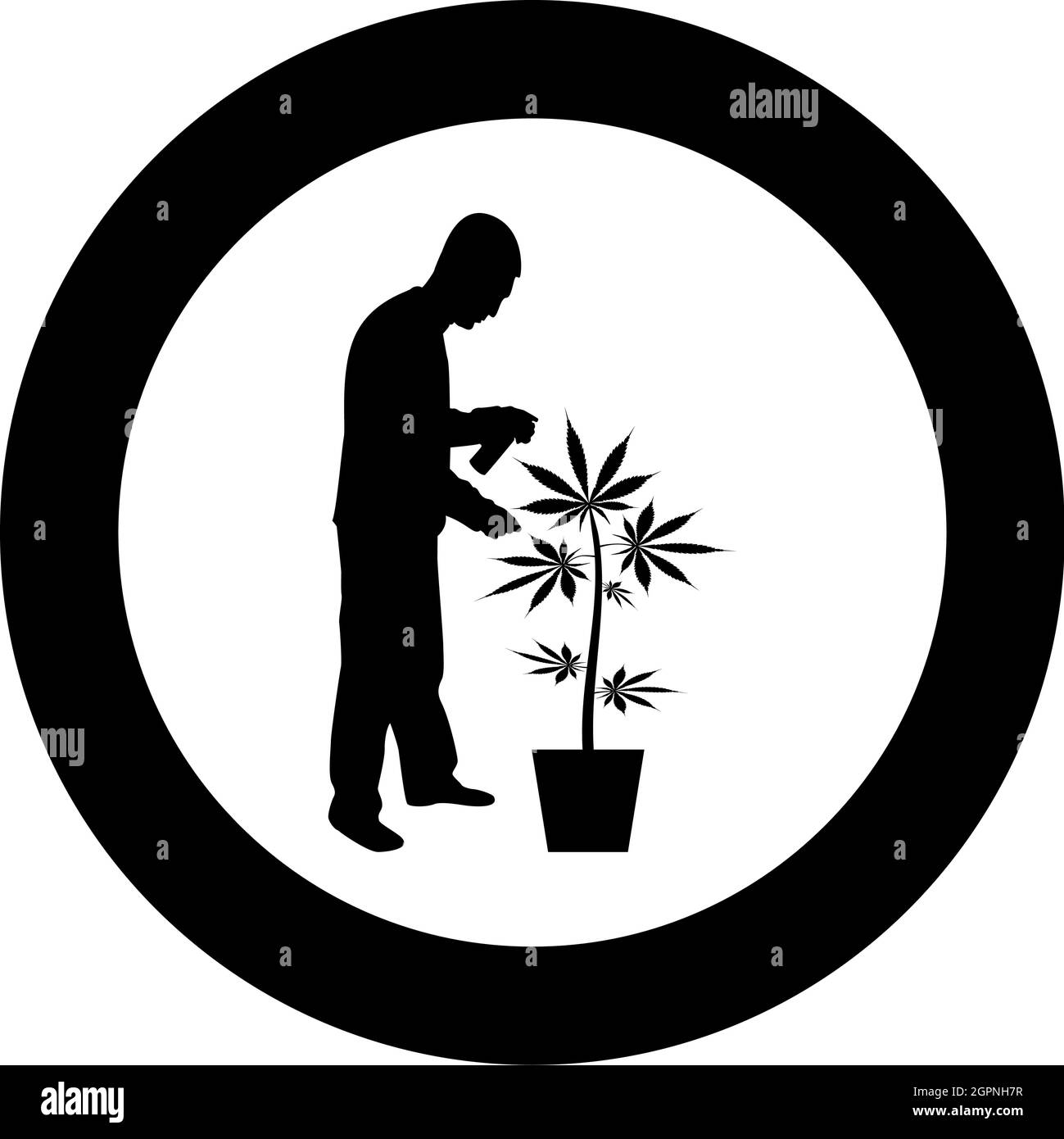 Mann, der für Marihuana-Pflanze im Topf Wasser Spritzen mit Handregner Bewässerung Gartenernte Konzept zu Hause Silhouette im Kreis Runde schwarze Farbe Vektor Illustration solide Kontur Stil Bild Stock Vektor