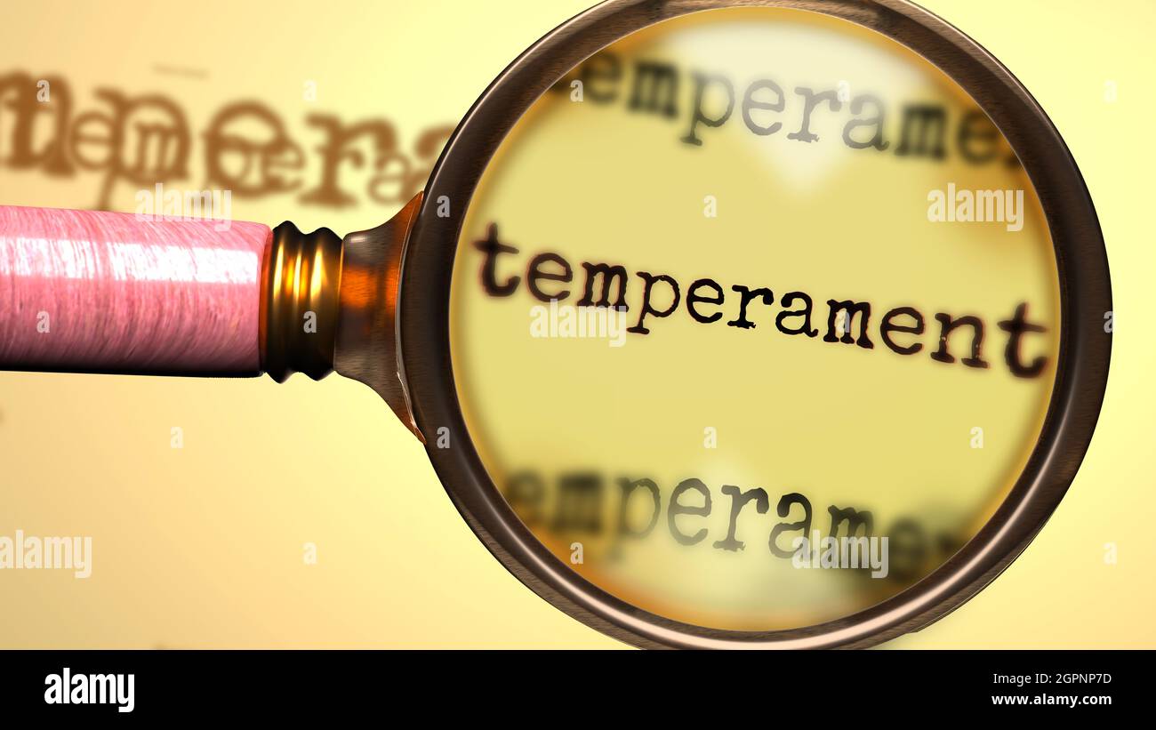 Temperament und eine Lupe auf Englisch Wort Temperament zu symbolisieren Studium, Untersuchung oder die Suche nach einer Erklärung und Antworten im Zusammenhang mit Stockfoto