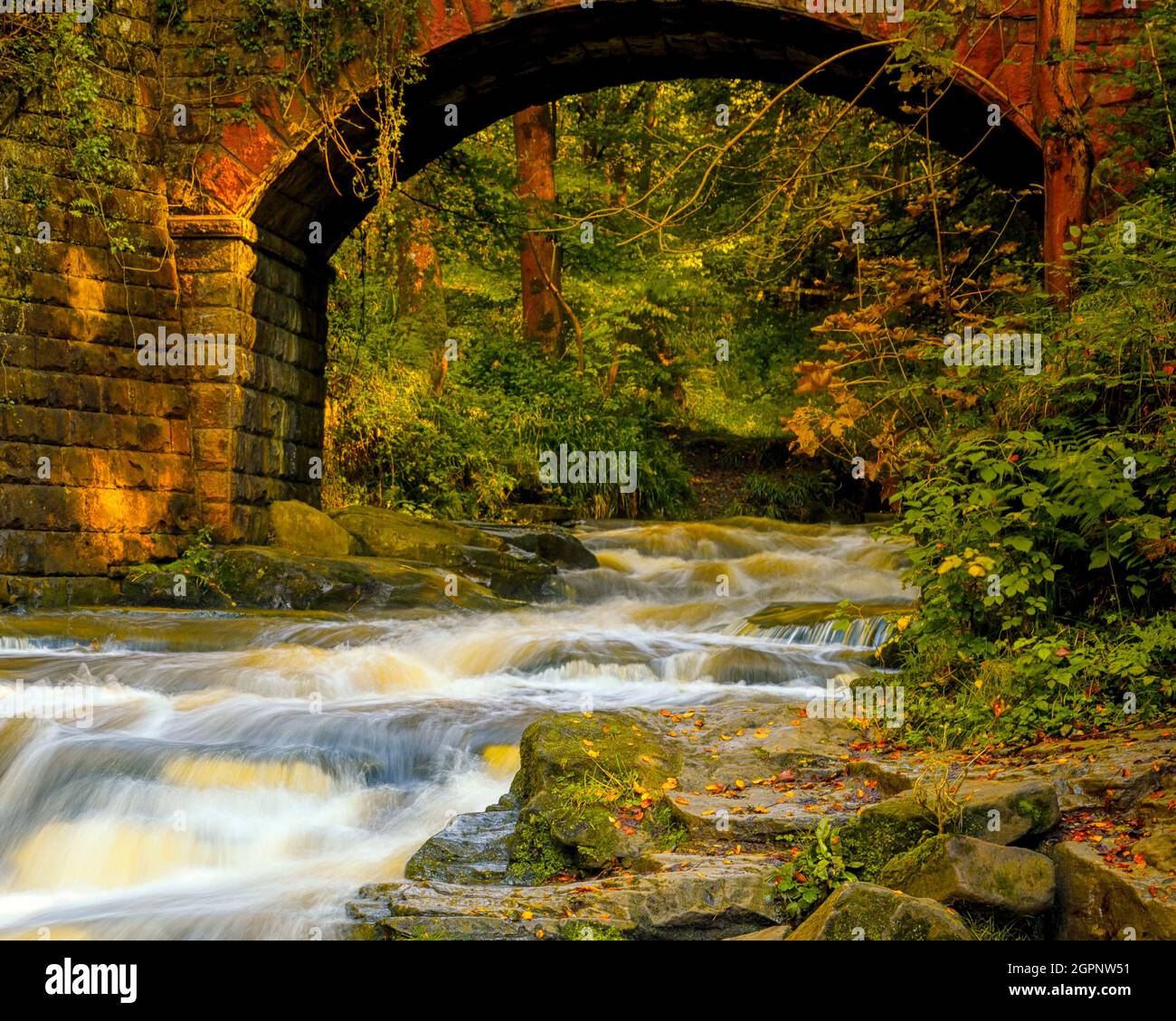 Mai Beck in der Nähe von Falling Foss - North York Moors Stockfoto