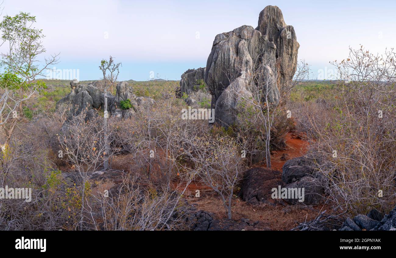 Kalksteinformationen, Chillagoe-Mungana Caves National Park, North Queensland, Australien Stockfoto