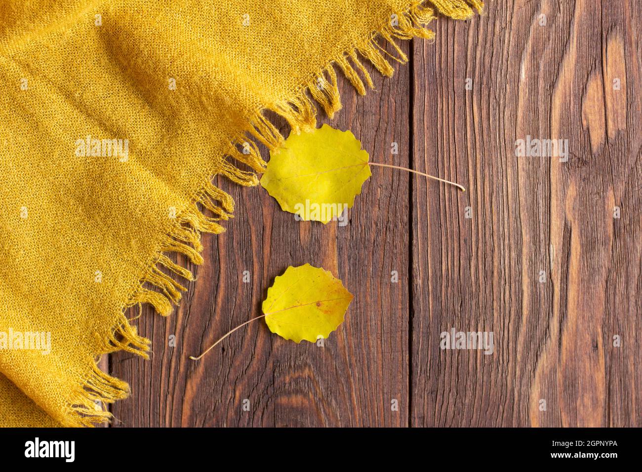 Das Konzept des Herbstes.Ein Schal aus Senf oder gelber Farbe und  vergilbten Blättern auf einem dunklen Holzhintergrund Stockfotografie -  Alamy